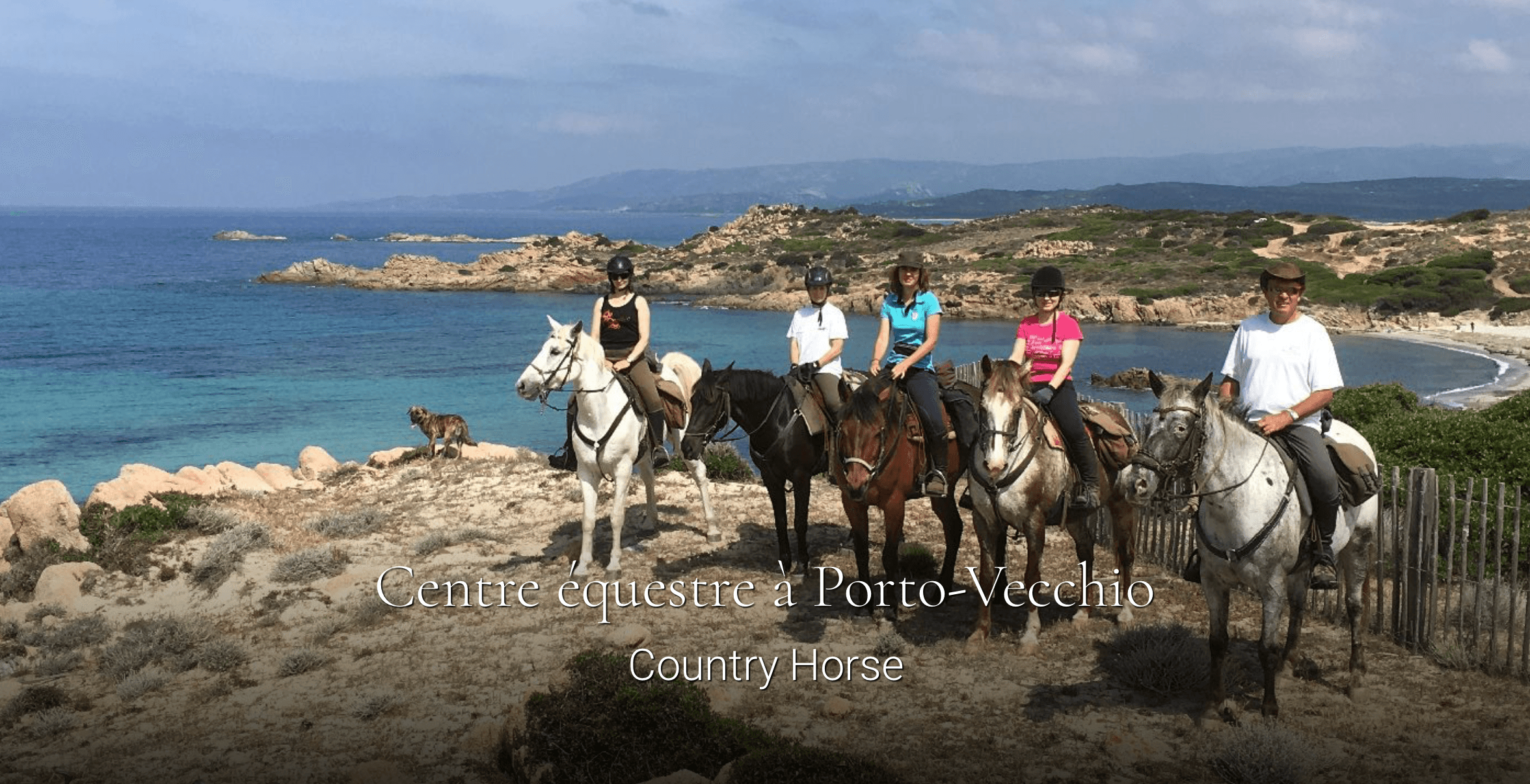 Country Horse