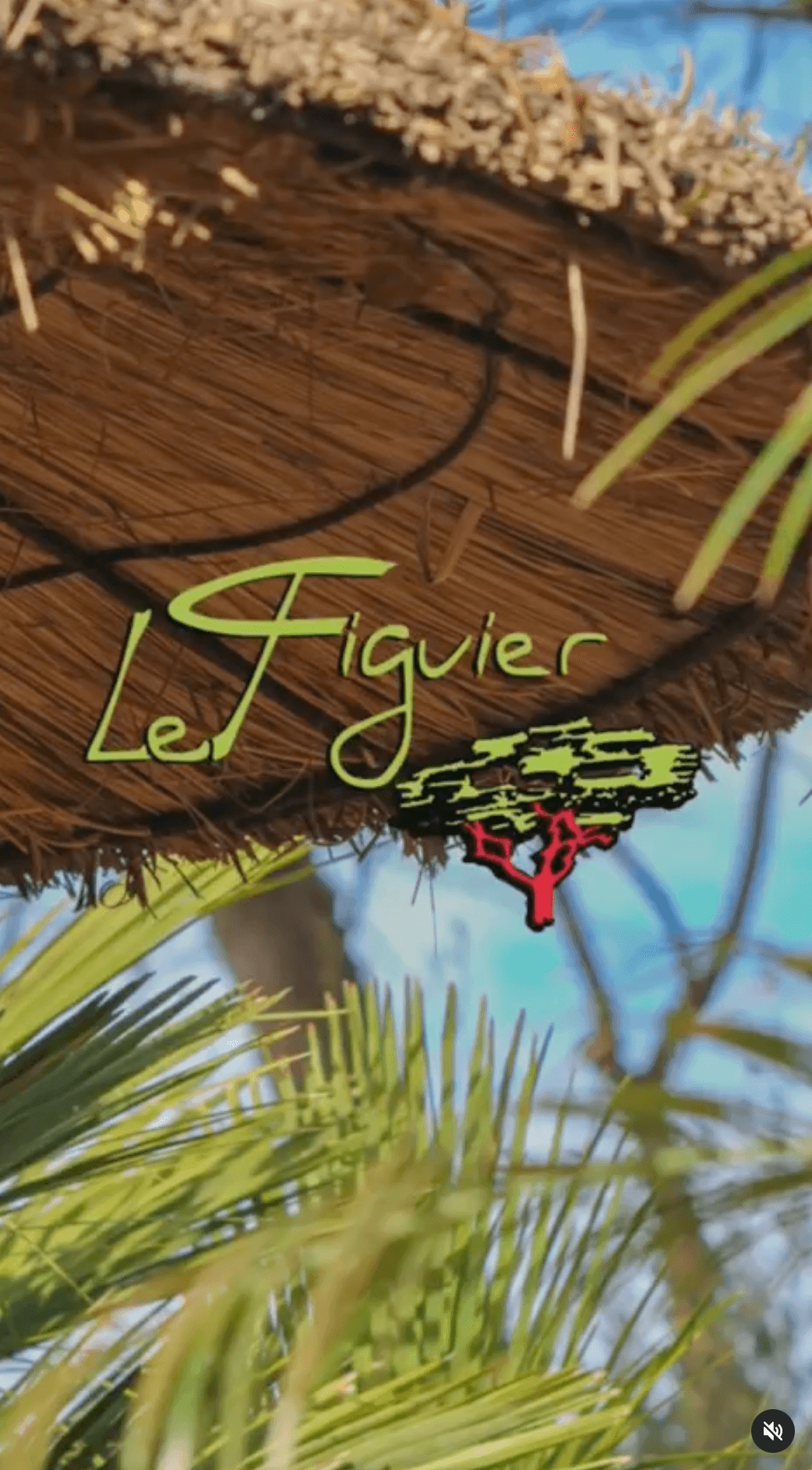 Le Figuier