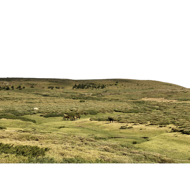 Plateau du Cuscione
