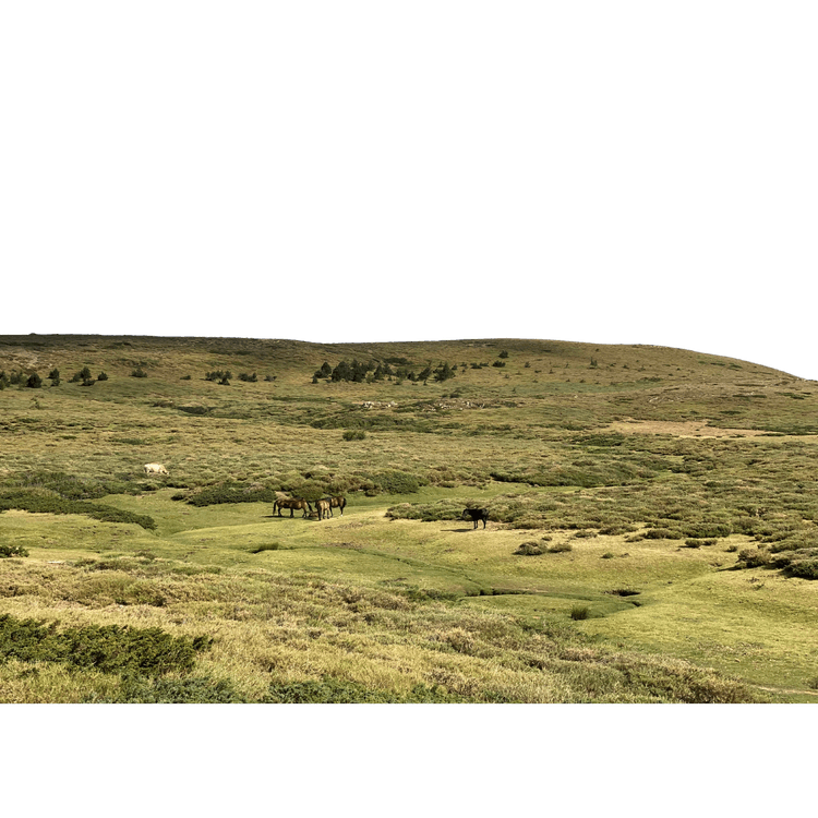 Plateau du Cuscione
